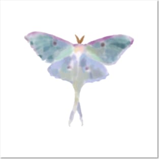 Night luna moth Posters and Art